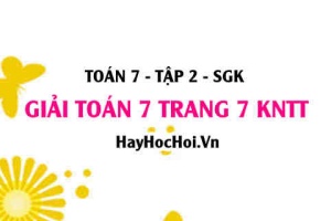 Giải Toán 7 trang 7 Kết nối tri thức Tập 2 SGK
